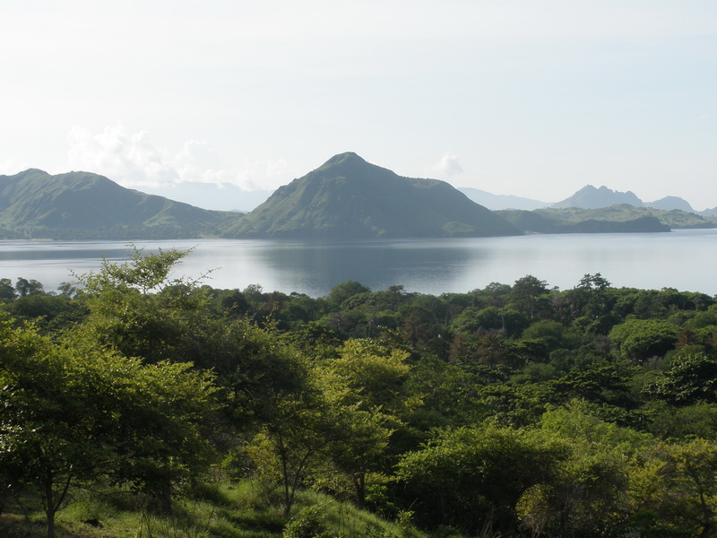 11 дней в Индонезии (Бали-Флорес) фев 2010 ФОТО(закончен)