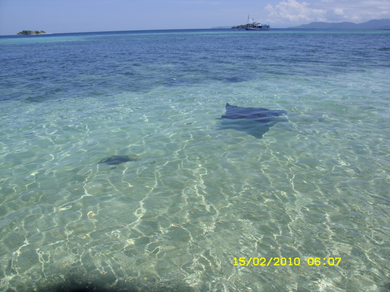 11 дней в Индонезии (Бали-Флорес) фев 2010 ФОТО(закончен)