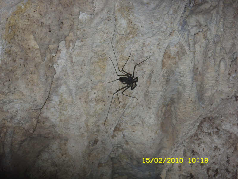 11 дней в Индонезии (Бали-Флорес) фев 2010 ФОТО(закончен)