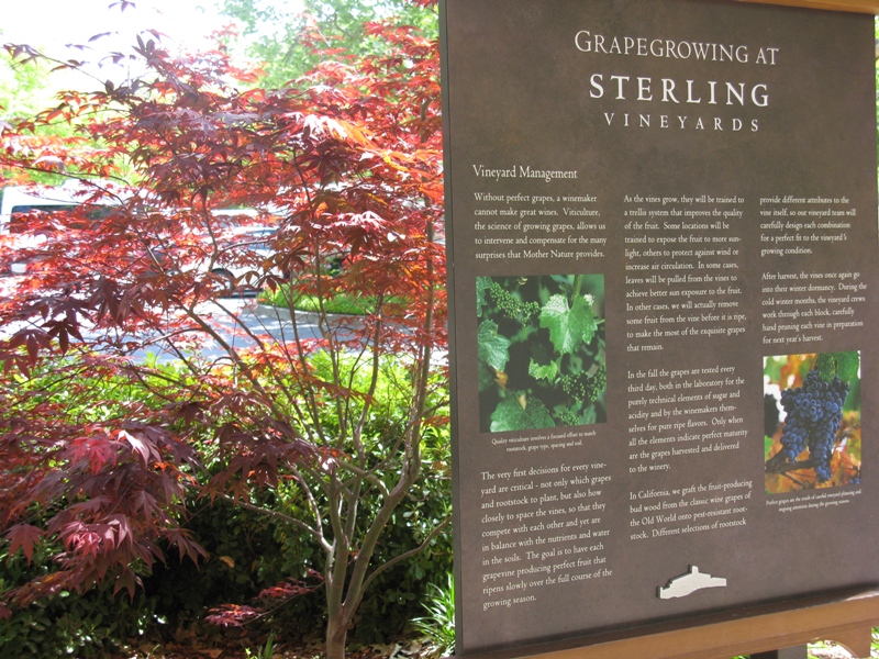 Винодельни: Napa Valley  vs.  Finger Lakes