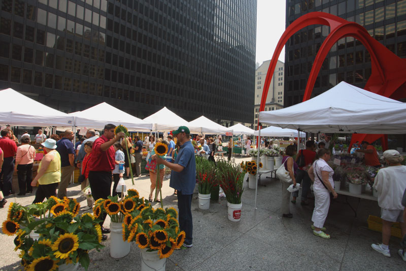 Нью-Йорк, Филадельфия, ДС, Чикаго(07.17-07.31) с фото