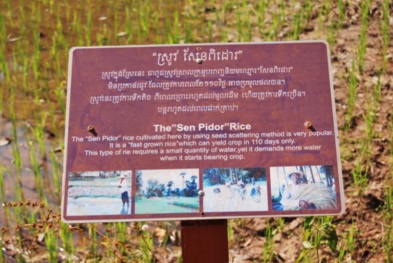 Негативный отзыв о визите в Камбоджу и беседа о камбоджийцах