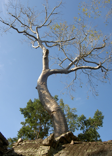 Бангкок – Камбоджа – Куала-Лумпур – Пукет (декабрь 2007)