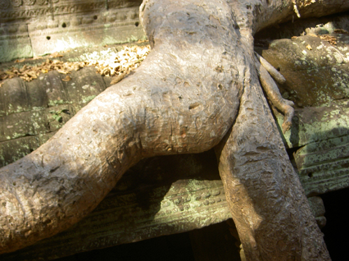 Бангкок – Камбоджа – Куала-Лумпур – Пукет (декабрь 2007)