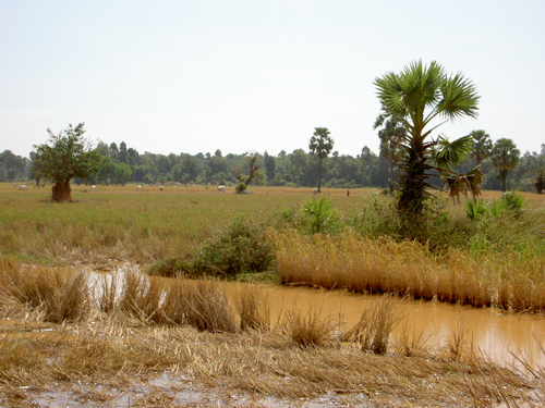 Бангкок – Камбоджа – Куала-Лумпур – Пукет (декабрь 2007)