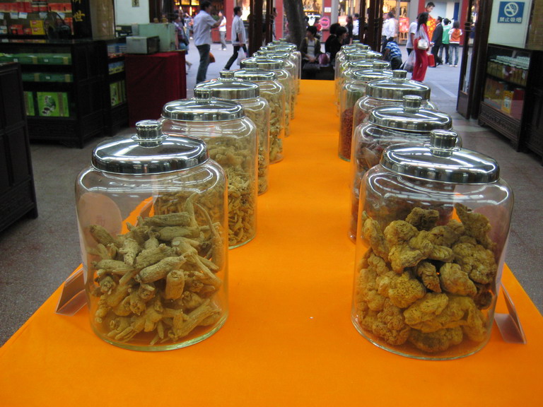 Китай: Шанхай-Сужоу-Хуанжоу-Бейжин-октябрь 2008