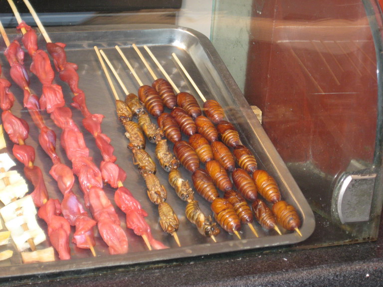 Китай: Шанхай-Сужоу-Хуанжоу-Бейжин-октябрь 2008