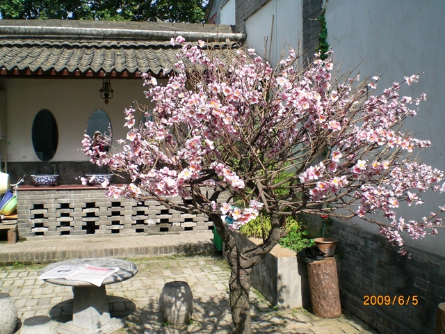 Xian Qixian (7 Sages) Youth Hostel