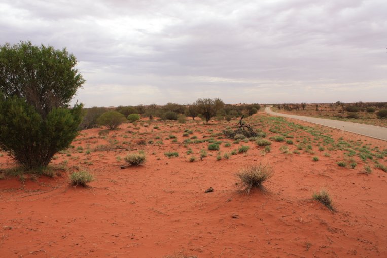 5500 км по дорогам Австралии