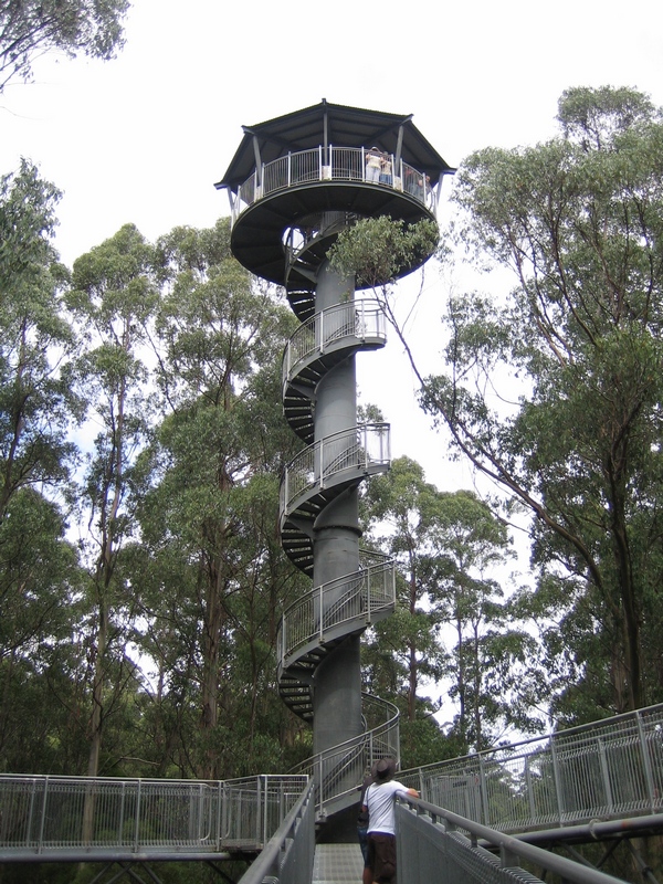 Мельбурн(F-1)-Океанская Дорога-Сидней-Голд Кост 2008+фото