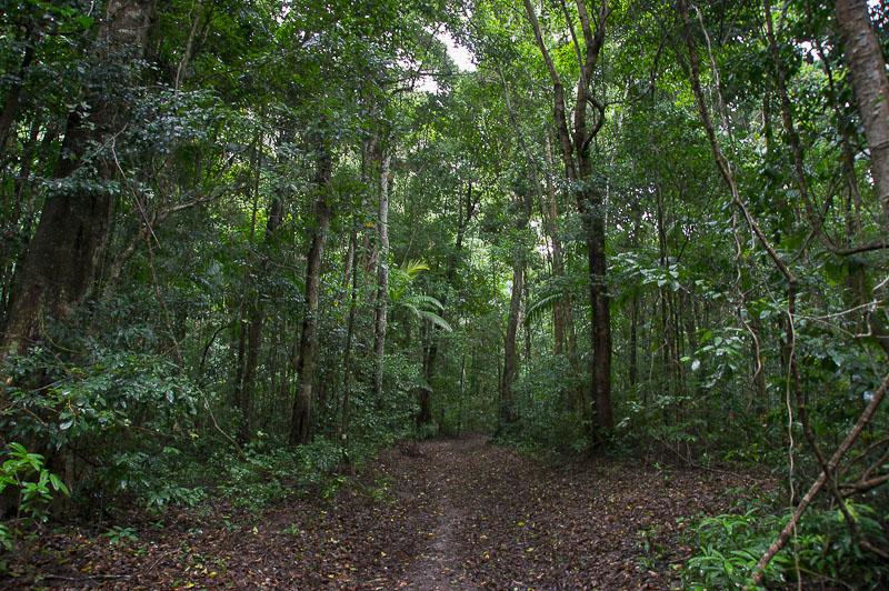 Край света. Австралия, январь 2012