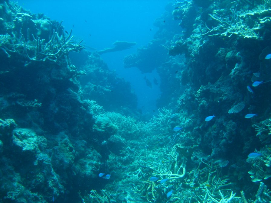 5500 км по дорогам Австралии