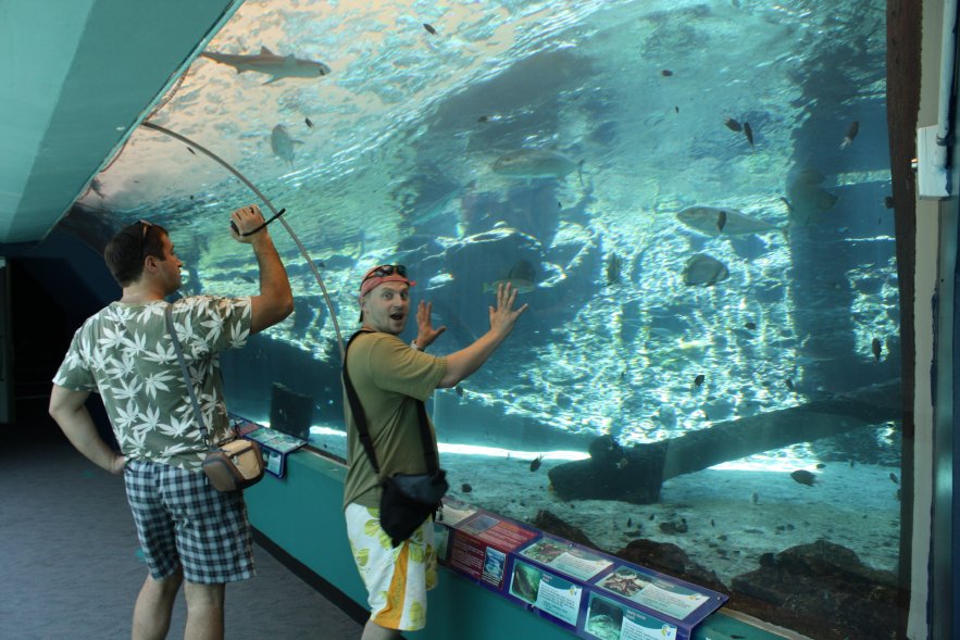 5500 км по дорогам Австралии