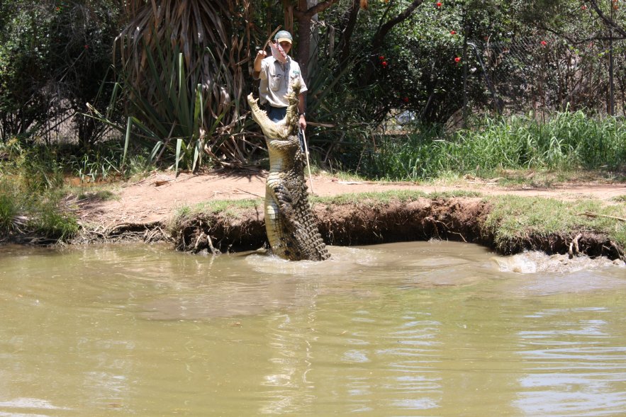 5500 км по дорогам Австралии