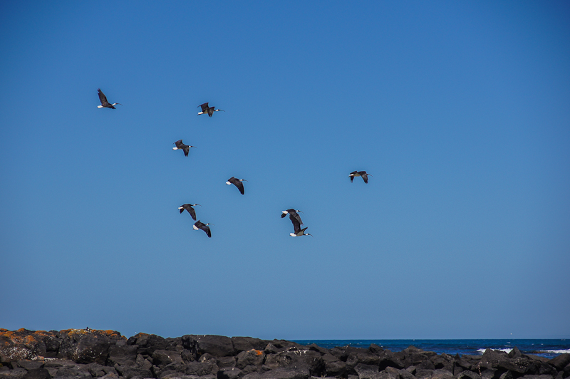 Край света. Австралия, январь 2012
