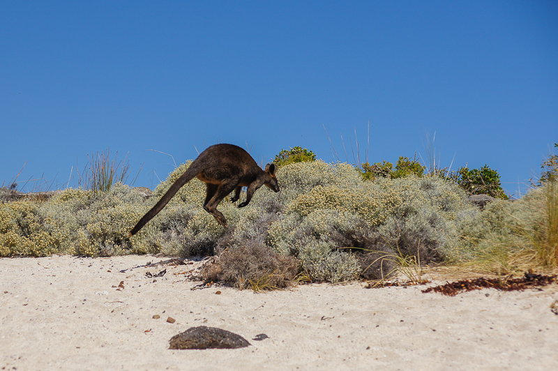 Край света. Австралия, январь 2012
