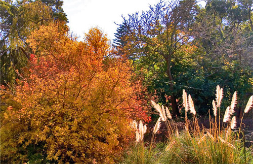 Путешествие по Западной Австралии: Perth - Cervantes - RockWave 2006