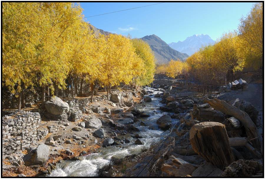 Непал 2008 "Annapurna Cirkuit Trek" 37 отобранных