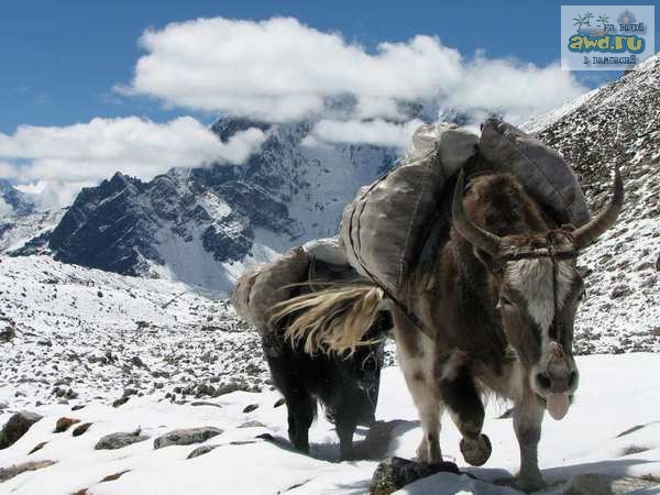 Треккинг в Непале.октябрь 2006  + избранные фото