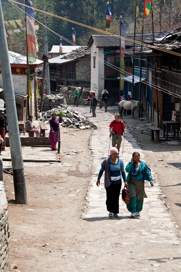 Непал: вокруг Аннапурны + АВС (24.03.2010–13.04.2010)