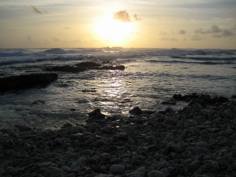 Шри Ланка + Мальдивы. Дорогами Сингальских королей! Траффик!