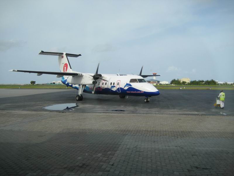 Шри Ланка + Мальдивы. Дорогами Сингальских королей! Траффик!