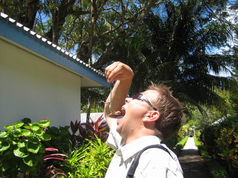 Шри Ланка + Мальдивы. Дорогами Сингальских королей! Траффик!