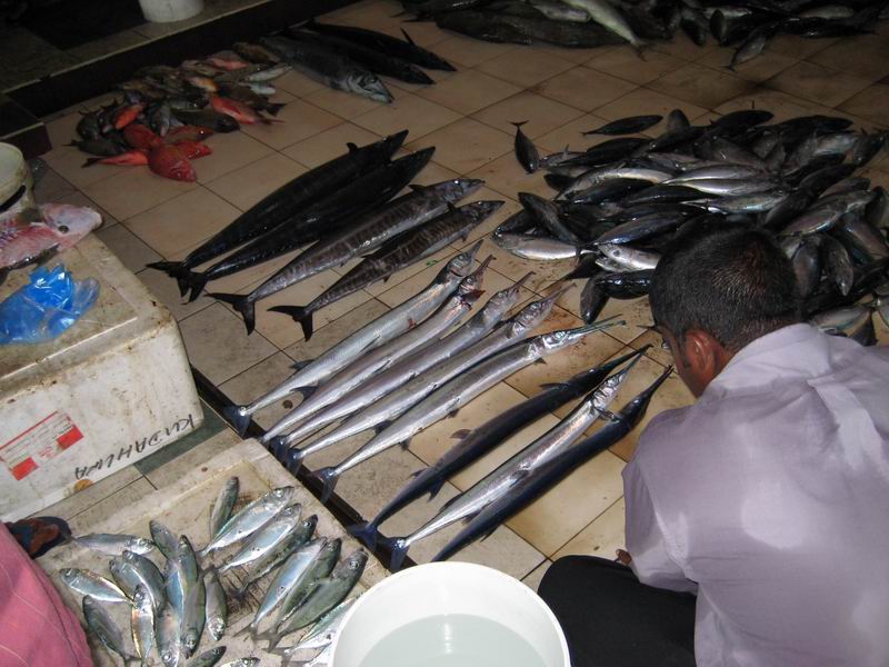 Шри Ланка + Мальдивы. Дорогами Сингальских королей! Траффик!