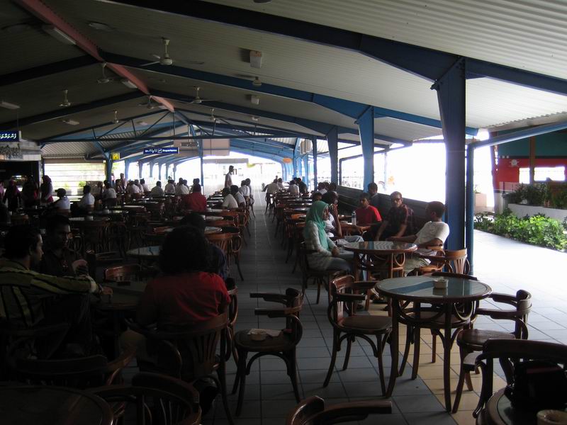 Шри Ланка + Мальдивы. Дорогами Сингальских королей! Траффик!