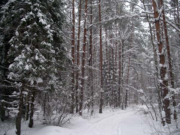 Зимняя Бойня-2. 17-18 февраля. Подмосковный панс