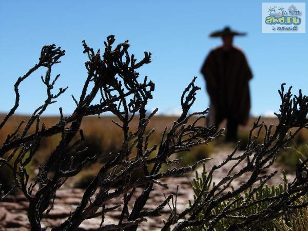 42-х дневное путешествие по Перу и Боливии: рассказ и фото