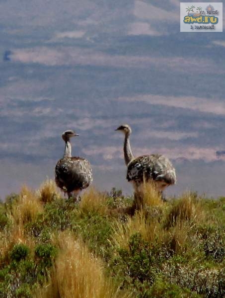 42-х дневное путешествие по Перу и Боливии: рассказ и фото