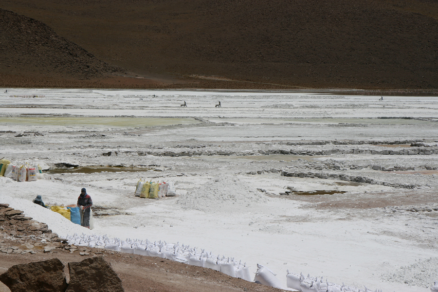 Ветер в кактусах: отчет о поездке Перу - Боливия