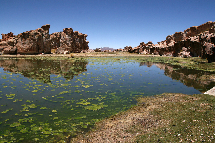 Ветер в кактусах: отчет о поездке Перу - Боливия