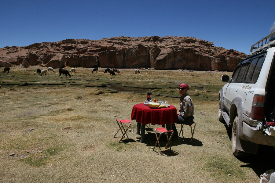 Ветер в кактусах: отчет о поездке Перу - Боливия