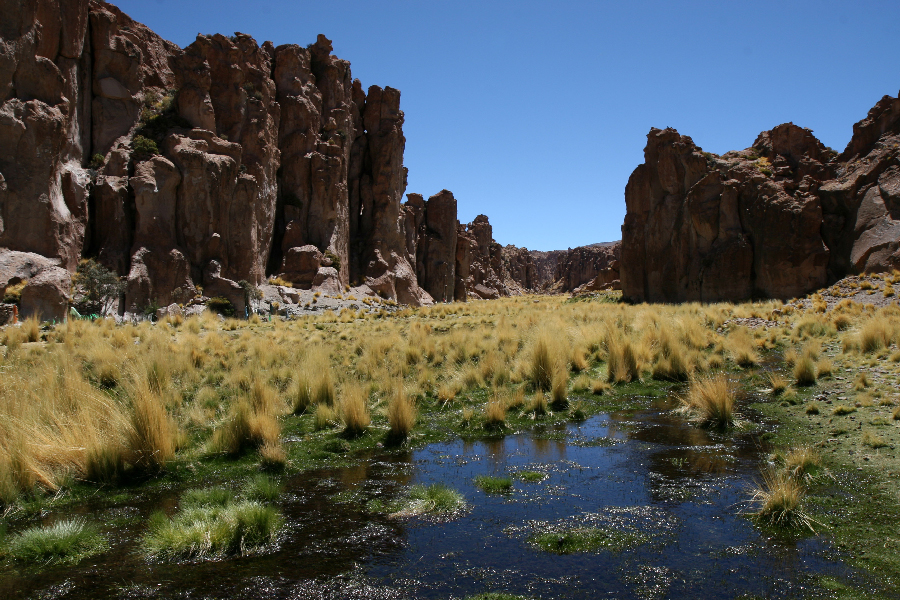 Ветер в кактусах: отчет о поездке Перу - Боливия