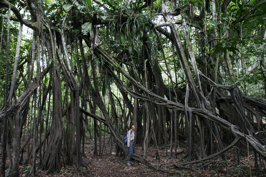 Ветер в кактусах: отчет о поездке Перу - Боливия