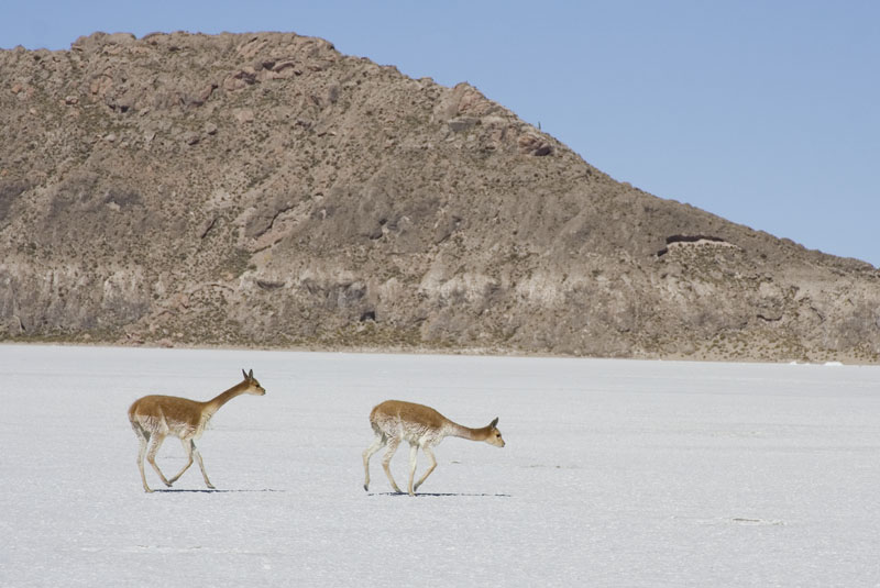 Перу и Боливия: если никуда не спешить. Ещё больше фото.