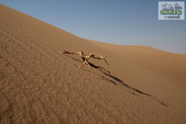 Хадрамаут. Юго-Восток Йемена. ФОТО!