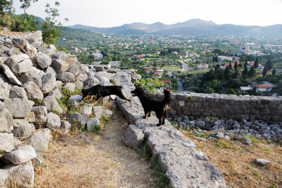 Черногория для двоих. Июль 2013. Фото + Видео.