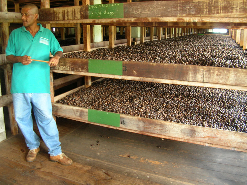 Гренада – Январь 2008