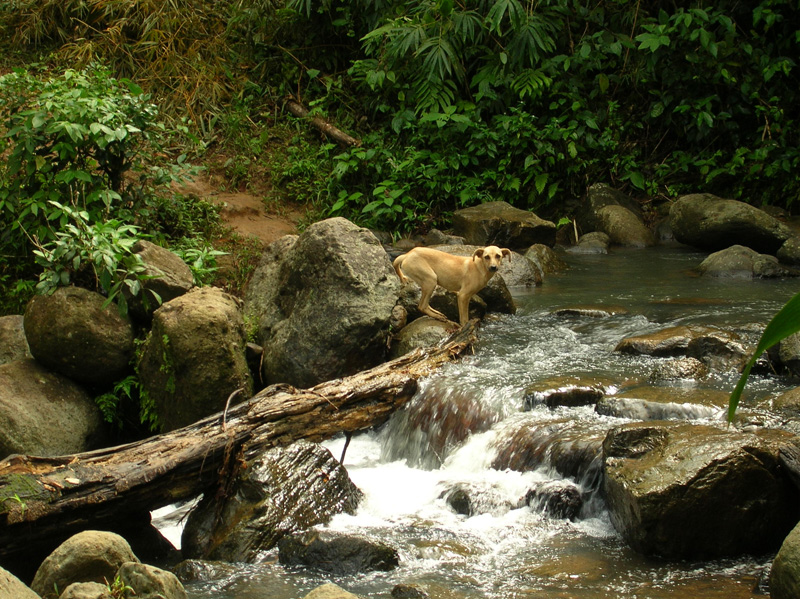 Гренада – Январь 2008