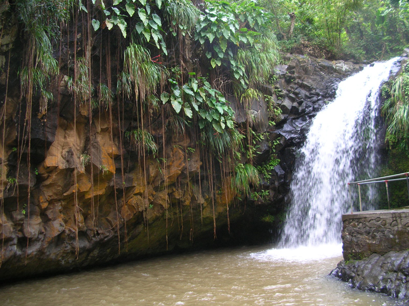 Гренада – Январь 2008
