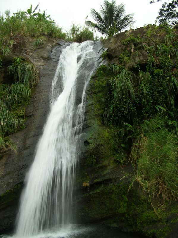 Гренада – Январь 2008