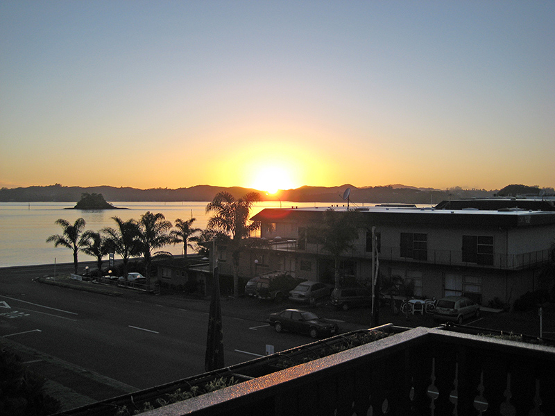 Небюджетная Океания: акулы, киты и ... большие кошки