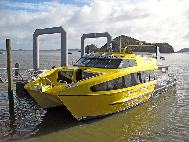 Небюджетная Океания: акулы, киты и ... большие кошки