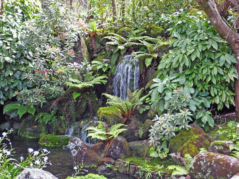 Небюджетная Океания: акулы, киты и ... большие кошки