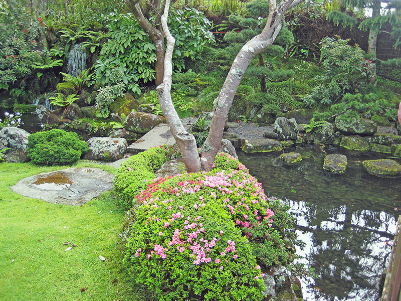 Небюджетная Океания: акулы, киты и ... большие кошки