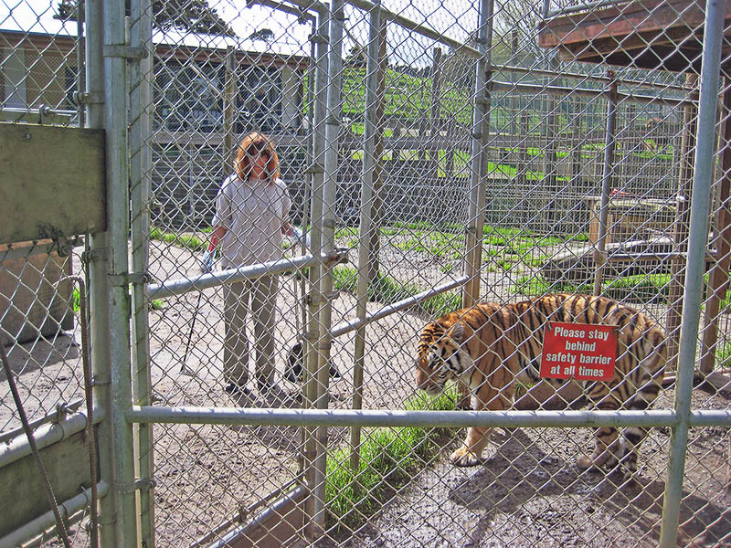 Небюджетная Океания: акулы, киты и ... большие кошки