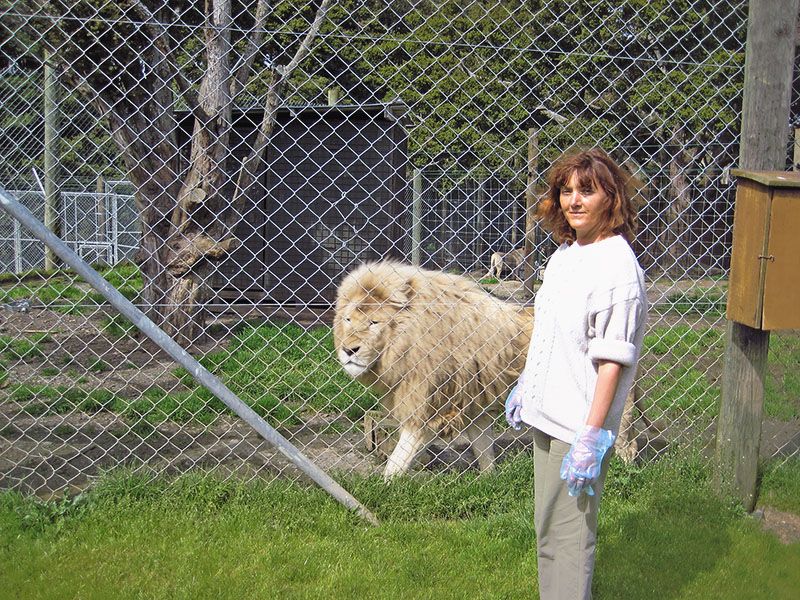 Небюджетная Океания: акулы, киты и ... большие кошки